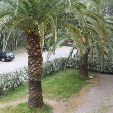 T2 Calvi Entierement Equipe A 150M De La Plage. Экстерьер фото