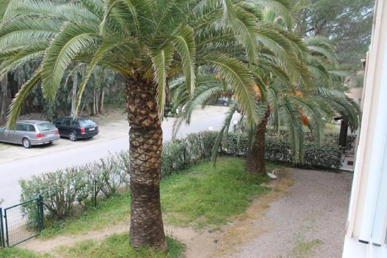 T2 Calvi Entierement Equipe A 150M De La Plage. Экстерьер фото