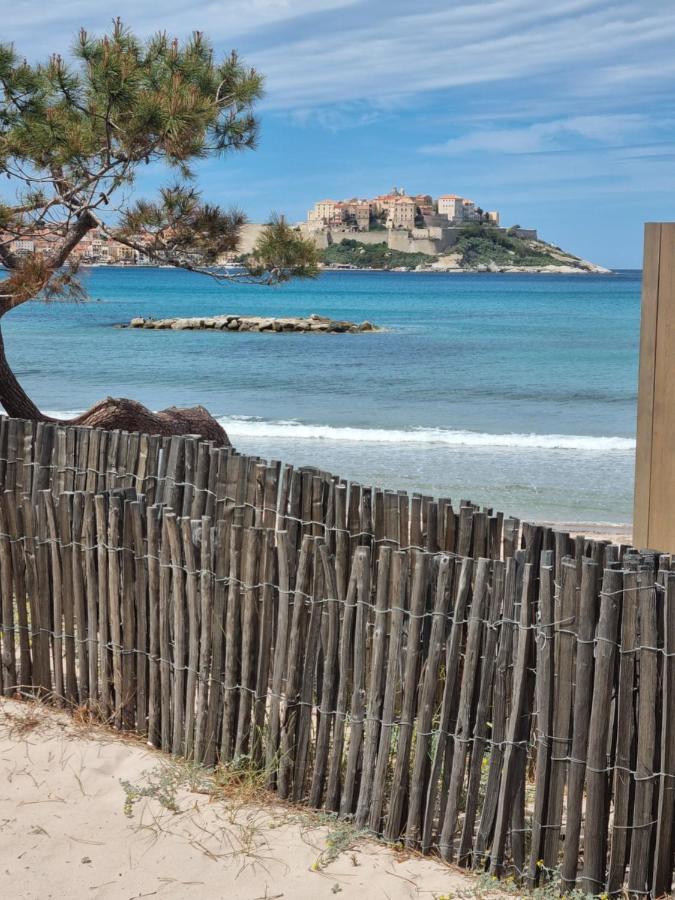 T2 Calvi Entierement Equipe A 150M De La Plage. Экстерьер фото